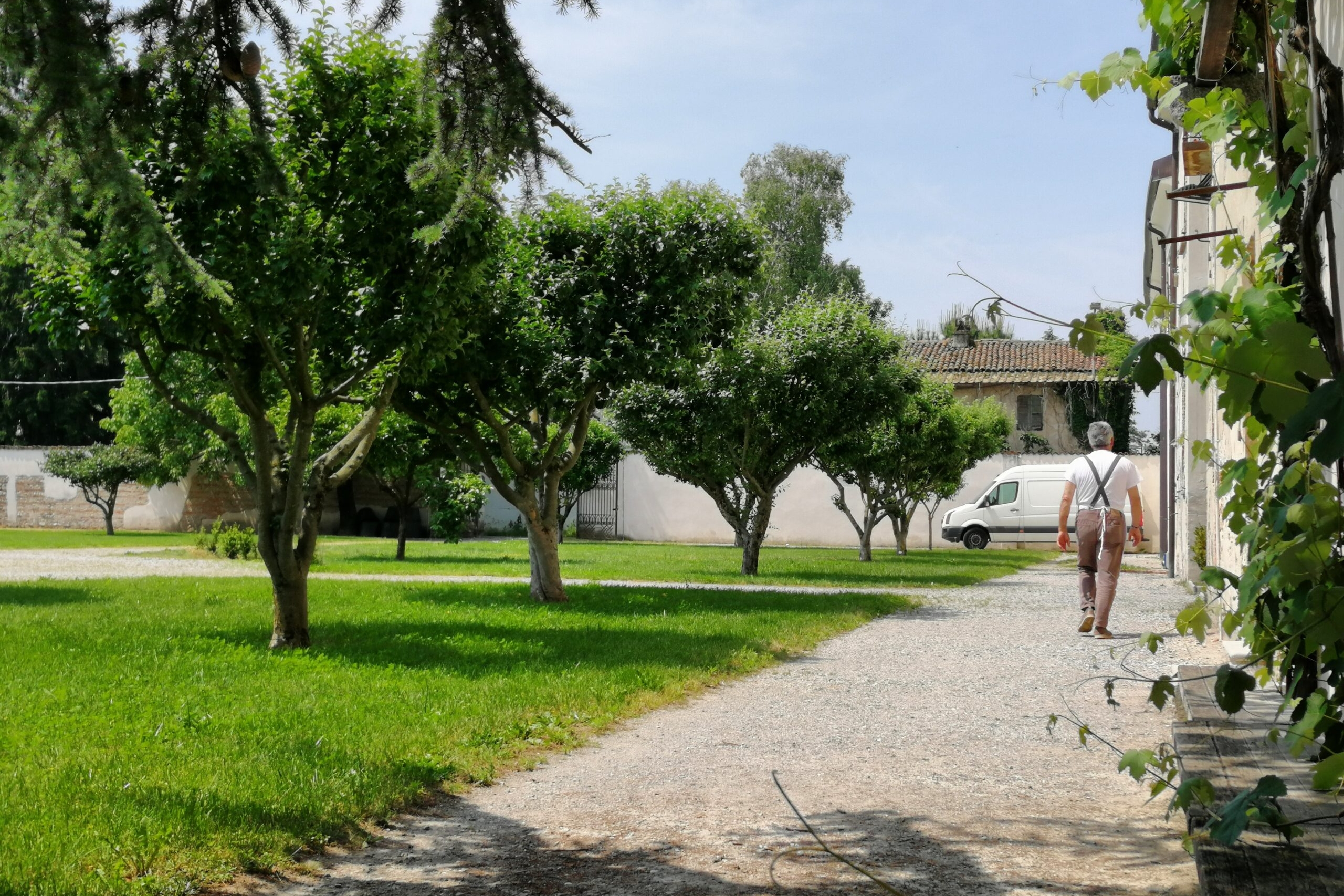 Villa Picchetta - Giardino interno